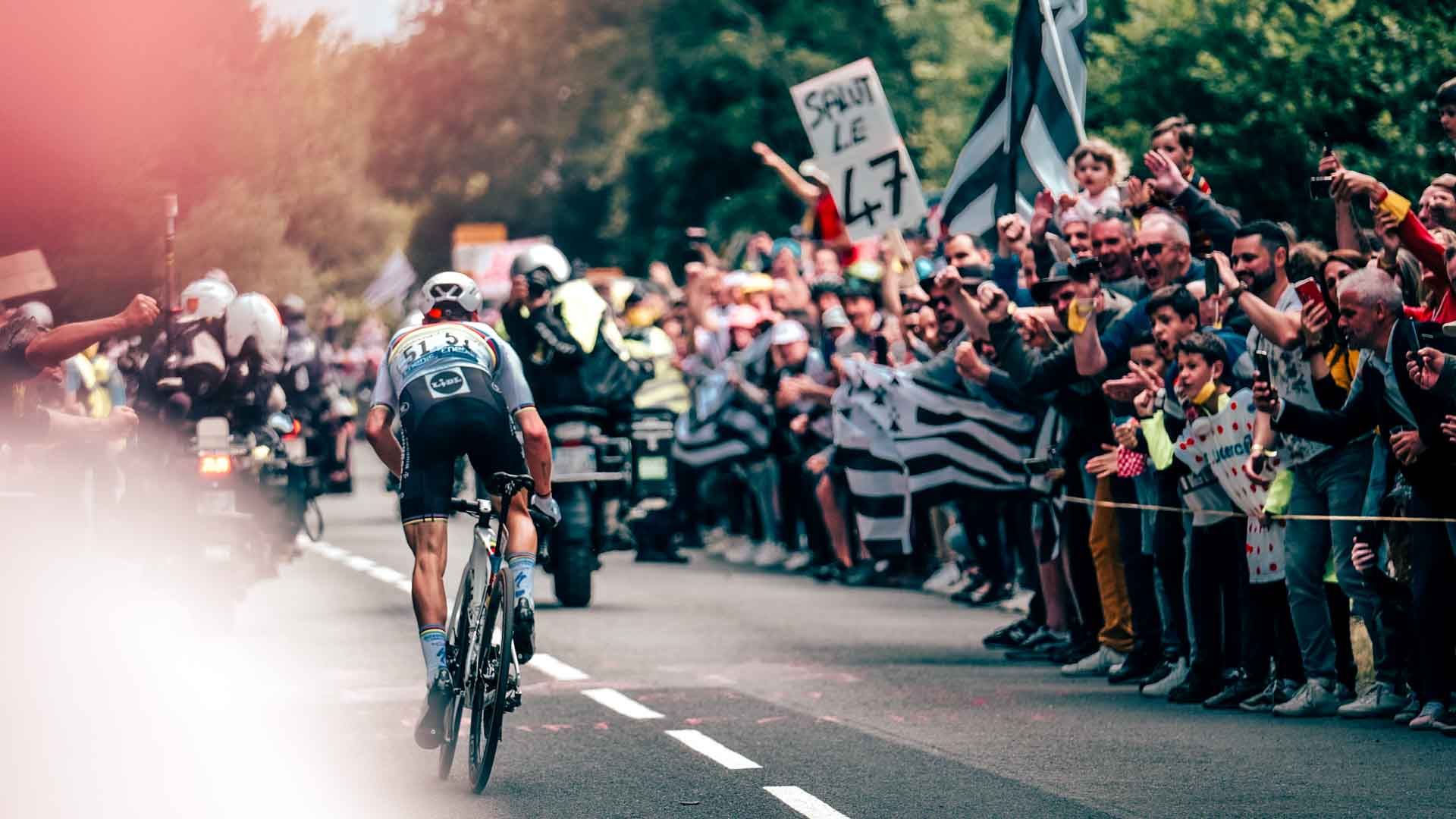 A back view of professional cyclist during 2021 Tour de France.